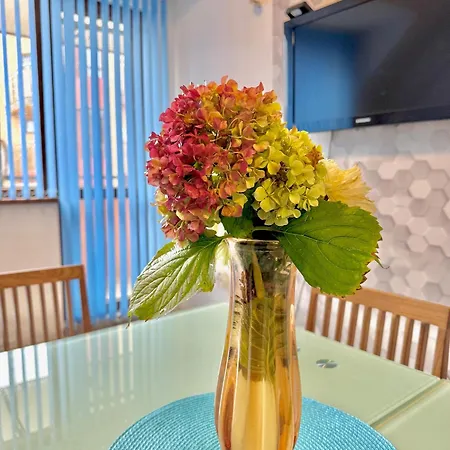 Apartment Galateya *