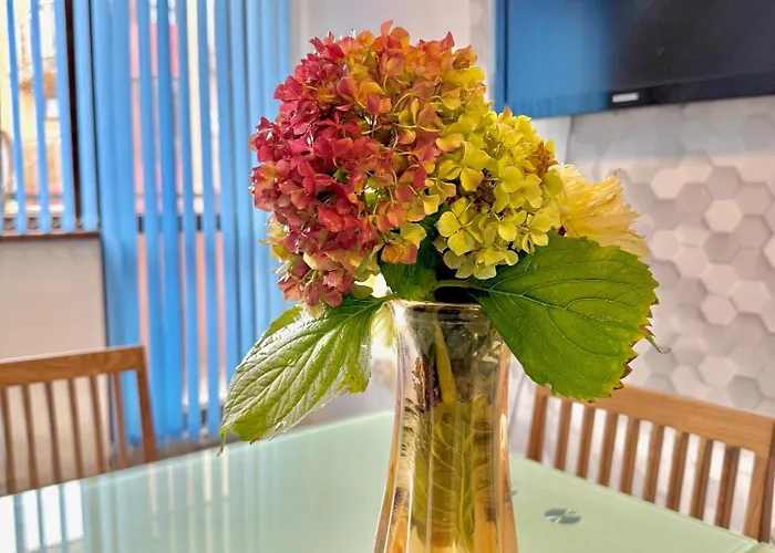 Апартаменты Galateya *